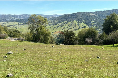 Terreno Con Hermosa Vista