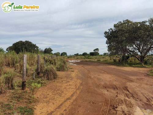 Imagem 13 de 15 de Fazenda À Venda Em Santa Maria Das Barreiras - Pa - 977,58 Hec. (d.aptidão) - 2278