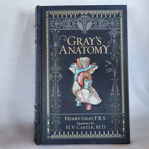 Gray S Anatomy Henry Gray Drawings Carter Ingles Tapa Dura