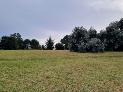 Terreno En Venta En Las Lomas