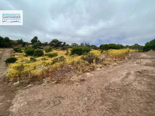 Imagen 5 de 8 de Sitio En Maitencillo