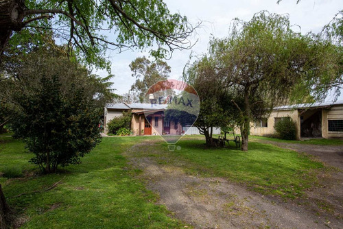 Venta Quinta Gral Madariaga, Idel Para Apicultores