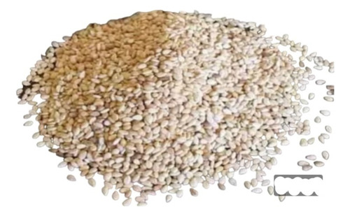 Pacote Com 2500 Sementes De Gergelim Branco Para Plantio