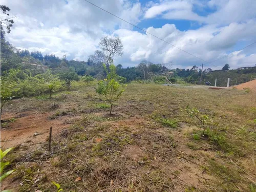 Lote En Rionegro Vereda La Playa