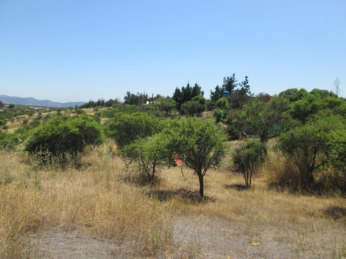 Parcela 10.240 Mt2 Melipilla Km 21 Camino A Rapel Ruta G60