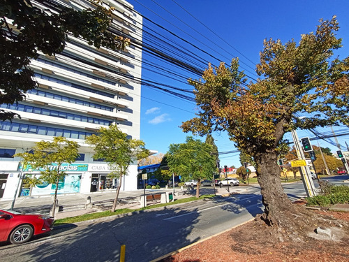 Exc.of. Consulta Médica Edif J. Manso De Velasco Los Angeles