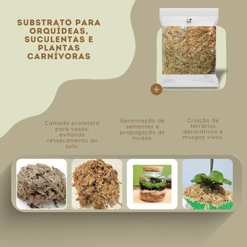 Musgo Sphagnum 20lts Para Orquídeas, Suculentas E Jardinagem