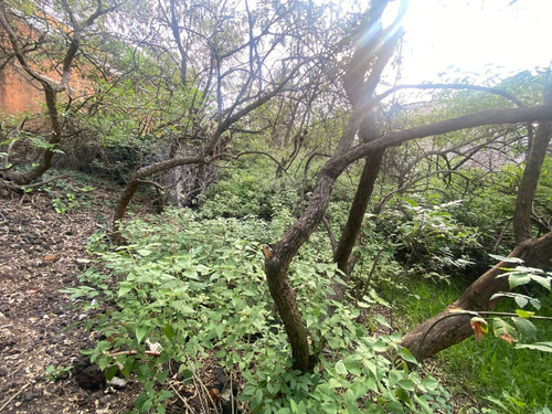 Terreno En Venta En Héroes De Padierna, Tlalpan