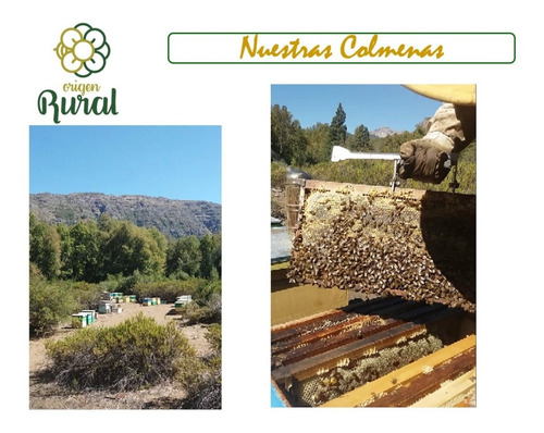 Miel De Abejas Multiflora Nativa, Super Alimento, Balde 5 Kg
