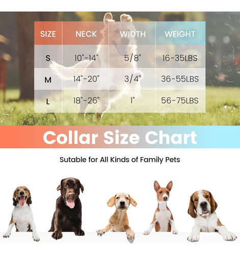 Juego De Collar Y Correa Para Perro Con Patrón Naranja, Coll