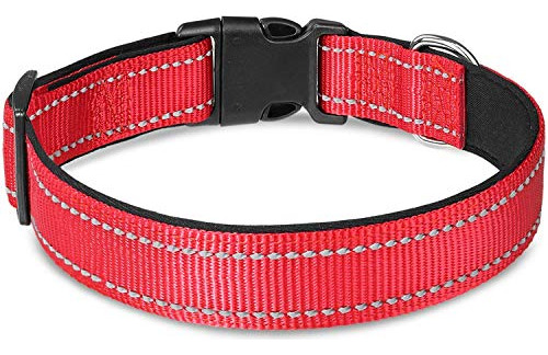 Collar Y Correa Perro Reflectante, Neopreno Acolchado -