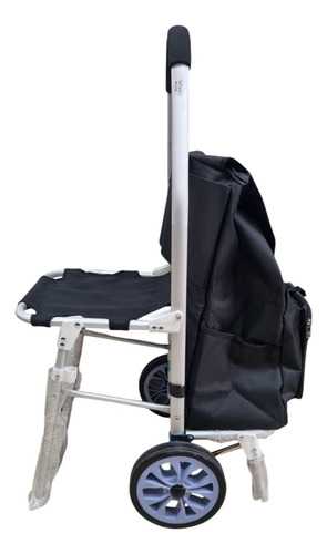 Carro Changuito De Compras Con Silla Plegable Negro