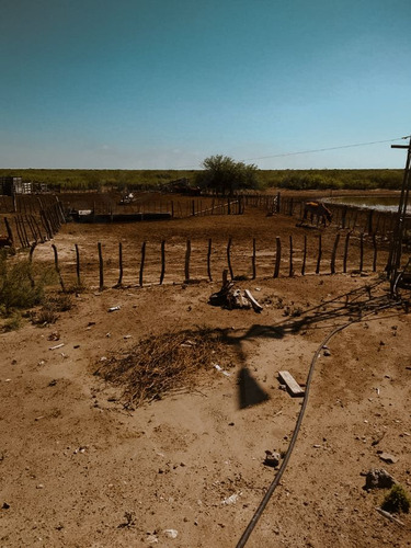 Campo En Venta En Santa Isabel, La Pampa