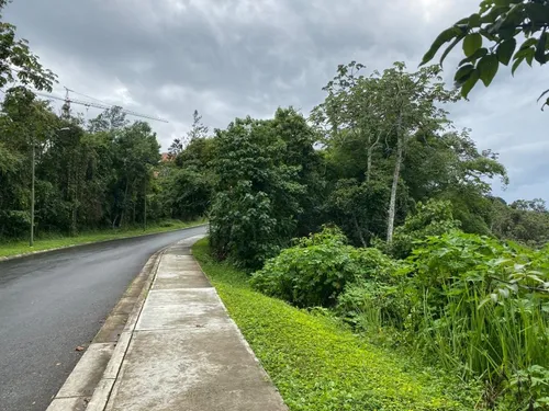 Terreno - El Hatillo - 2.000 Mts2