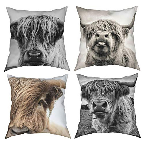 Juego De 4 Fundas De Almohada Highland Cow, Decoración...