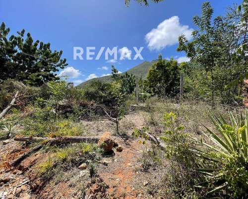 Re/max 2mil Vende Terreno En Sabana De Cuacuco, Mun. Arismendi, Isla De Margarita, Edo. Nueva Esparta