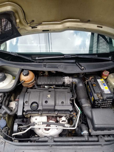 Peugeot 206 1.6 16v Presence 2007 Completo