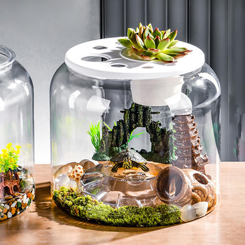 Tortuga Tank Step Terrario Desk Decorativo L Con Tapa