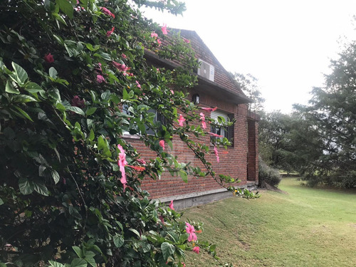 Chacra Orgánica Con Casas - 6,5 Ha En Colonia Este