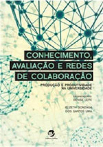 Conhecimento, Avaliação E Redes De Colaboração: Produção E Produtividade Na Universidade, De Leite, Denise. Editora Sulina, Capa Mole Em Português