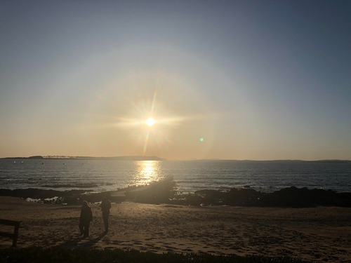 Imagen 14 de 15 de Funcional Y Acogedor Apartamento En La Península, 1 Dorm 3 Pers. A 150 Mts. Del Puerto De Punta Del Este, 2 Cuadras De Gorlero, 10 Min De La Terminal De Buses.