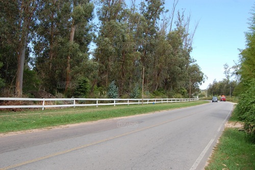 Venta Lote Terreno Camino Eguzquiza La Barra Punta Del Este Maldonado