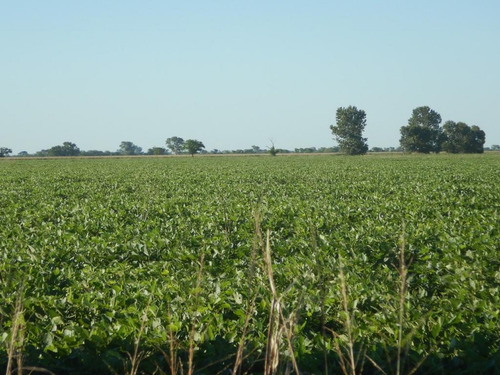 Imagen 5 de 5 de Campo Agrícola De 52,5 Has