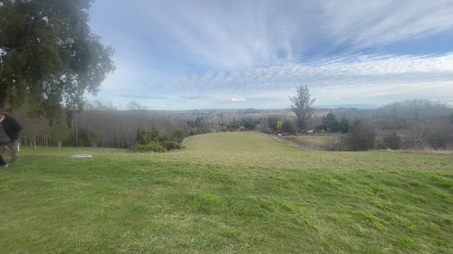 Vendo Campo 6 Ha Con Casa Camino Huichahue (66896)