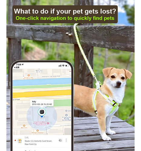 Mini Rastreador Gps: Buscador De Mascotas Y Etiqueta Antipér