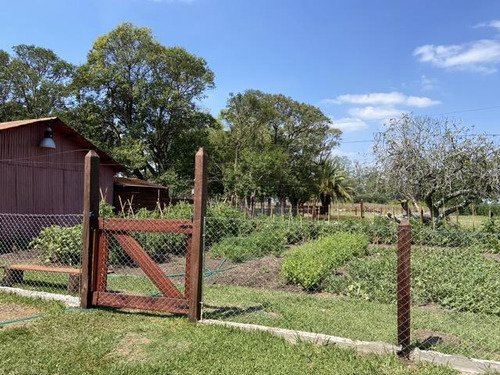 Campo En Venta En San Pedro, Bs As