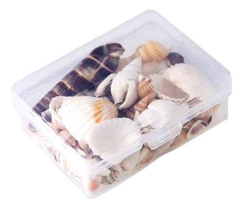 1 Caixa Contas Espiral Beads Praia Conchas Do Mar Natural