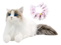 Comprar Ragdoll Gato Animal De Pelúcia Brinquedo Lenço Gato Rosa