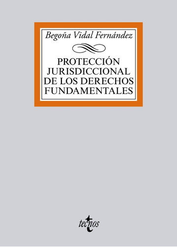 Proteccion Jurisdiccional De Los Derechos Fundamentales - Vi