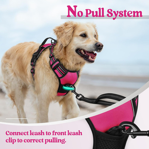 Arnés Para Perro Rabbitgoo, No Tirar, Ajustable, Xl