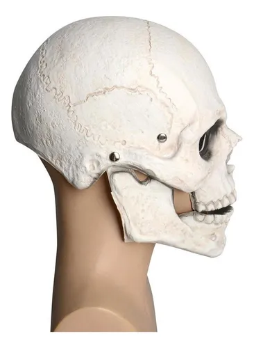Máscara De Calavera De Terror Con Casco De Esqueleto