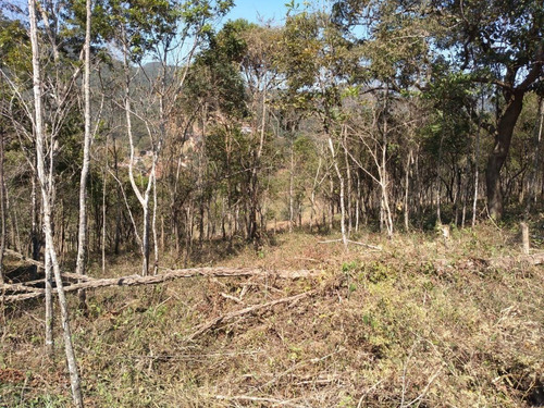 Imagem 9 de 19 de Terreno À Venda, Pinheirinho - Nazaré Paulista/sp - 2172
