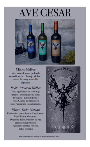 Vino Tinto Clásico Artesanal Malbec Ave Cesar Mendoza Cajax6