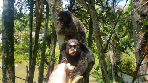 Imagem 1 de 28 de 01- Chácara Em Suzano 100% Documentada A Venda ! Agende Sua Visita.