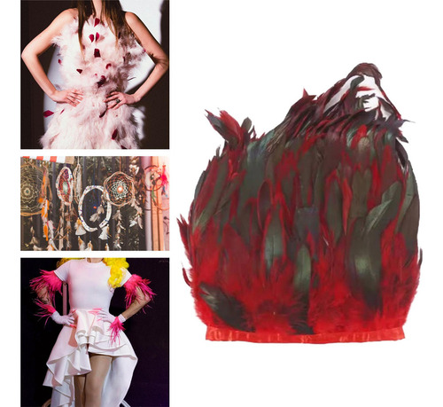 D Accesorios Costura Con Detalles Plumas Exóticas, K