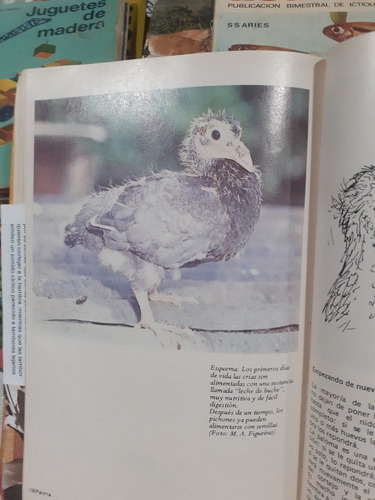 Animales Exóticos Fauna Argentina (Usado)
