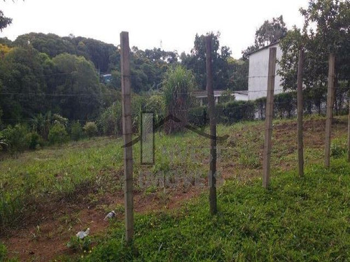 Imagem 4 de 5 de Cód 1984 - Ótimo Terreno De 1.000 M², Todo Cercado Com Ótima - 1984