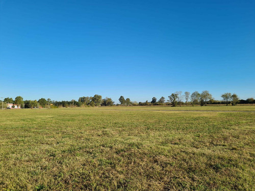 Imagen 18 de 22 de Venta Lotes Los Olmos C/ Financiacion