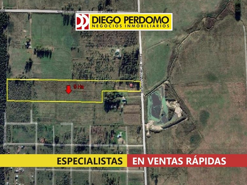 Imagen 3 de 9 de Chacra De 5 Ha En Venta. Ciudad Del Plata