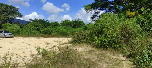 Imagen 7 de 12 de Finca En Venta Mina De Arena El Cambur. Estado Carabobo