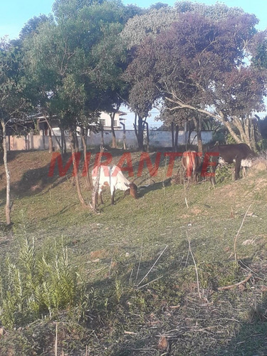Imagem 13 de 18 de Terreno Em São Vicente - Mairiporã, Sp - 371687