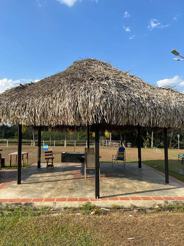 Imagen 8 de 14 de Venta Finca Hacienda Tocuyito Con Pozo Profundo Cod. 135246