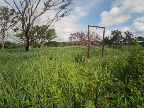 Imagen 15 de 15 de Finca En Tinaquillo. Sof001. Lsl