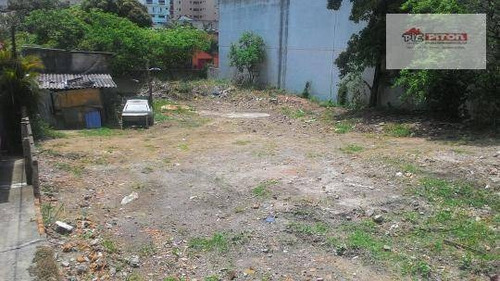 Imagem 10 de 11 de Terreno Residencial À Venda, Vila Regente Feijó, São Paulo - Te0088. - Te0088