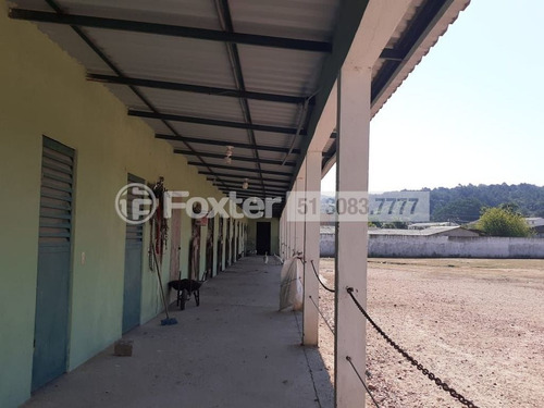 Imagem 2 de 30 de Terreno, 2 Dormitórios, 10000 M², Hípica - 169347