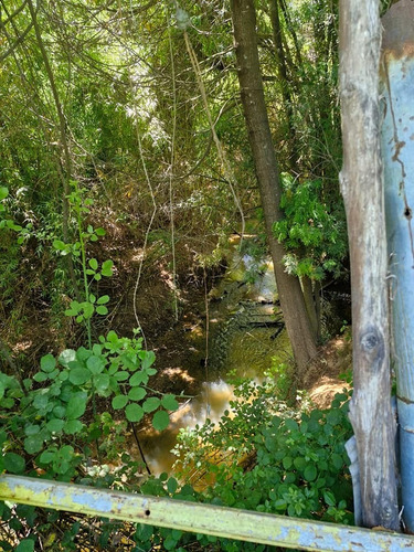Se Vende Parcela En Hualqui